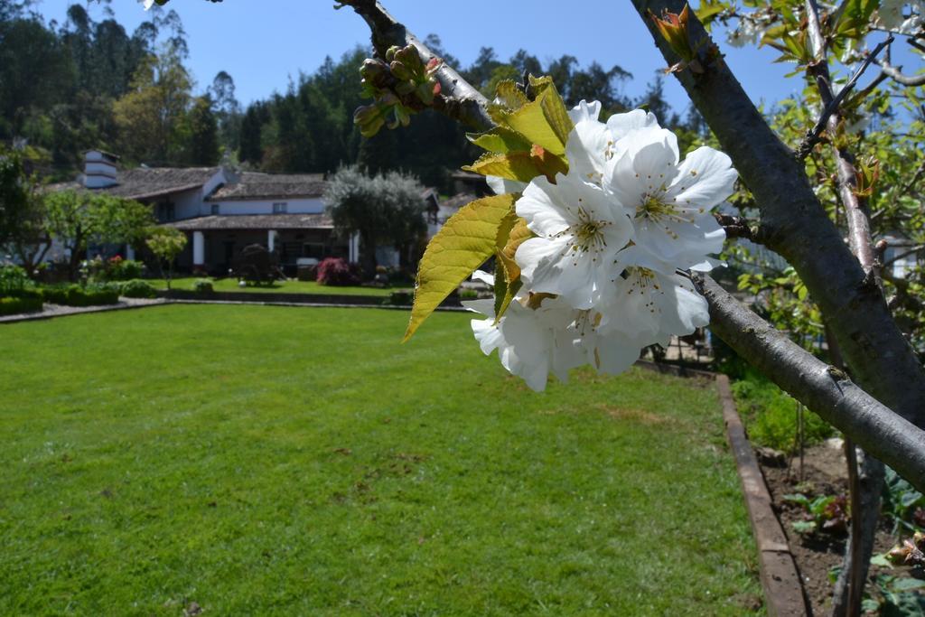 Quintal De Alem Do Ribeiro-Turismo Rural Луса Экстерьер фото