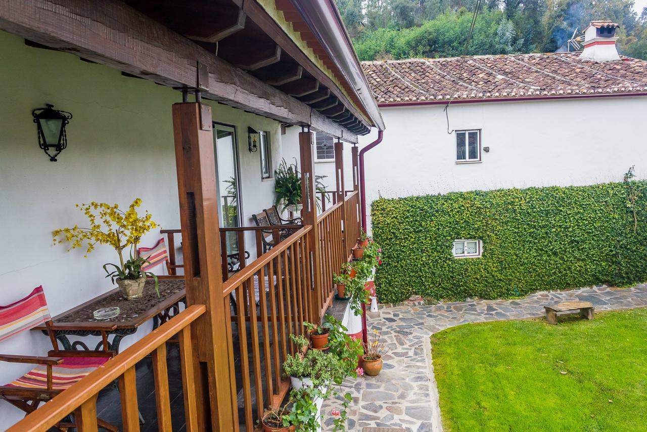 Quintal De Alem Do Ribeiro-Turismo Rural Луса Экстерьер фото