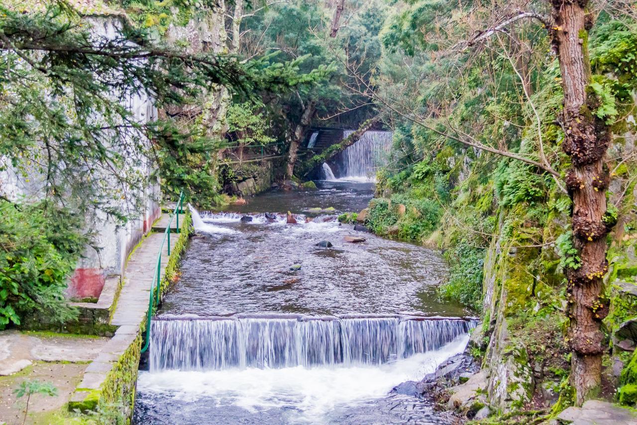 Quintal De Alem Do Ribeiro-Turismo Rural Луса Экстерьер фото
