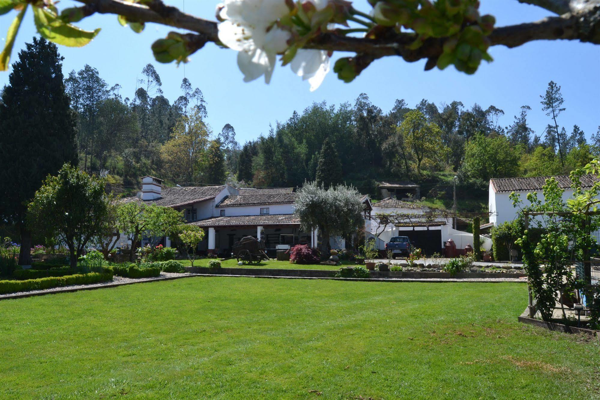 Quintal De Alem Do Ribeiro-Turismo Rural Луса Экстерьер фото