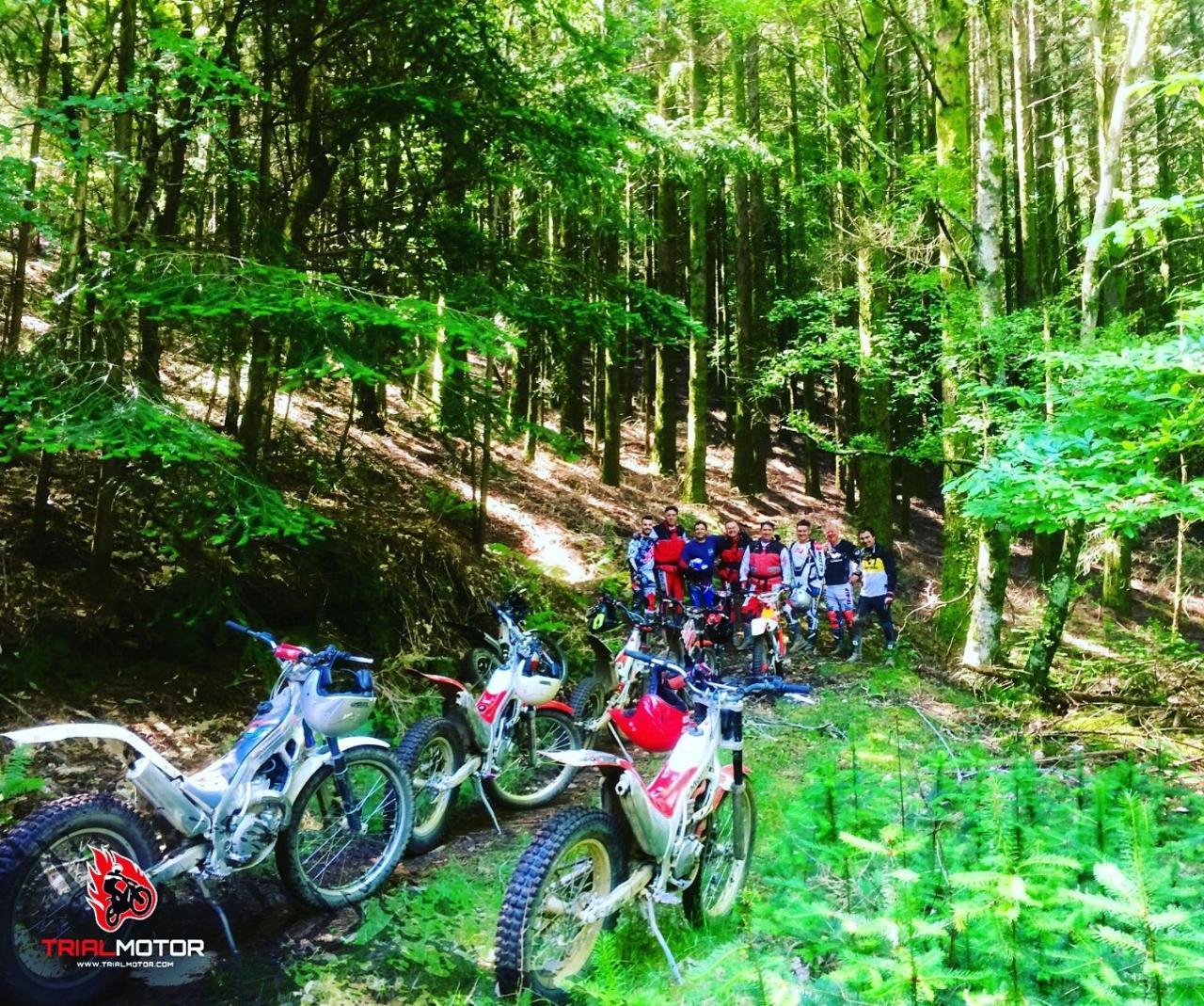 Quintal De Alem Do Ribeiro-Turismo Rural Луса Экстерьер фото